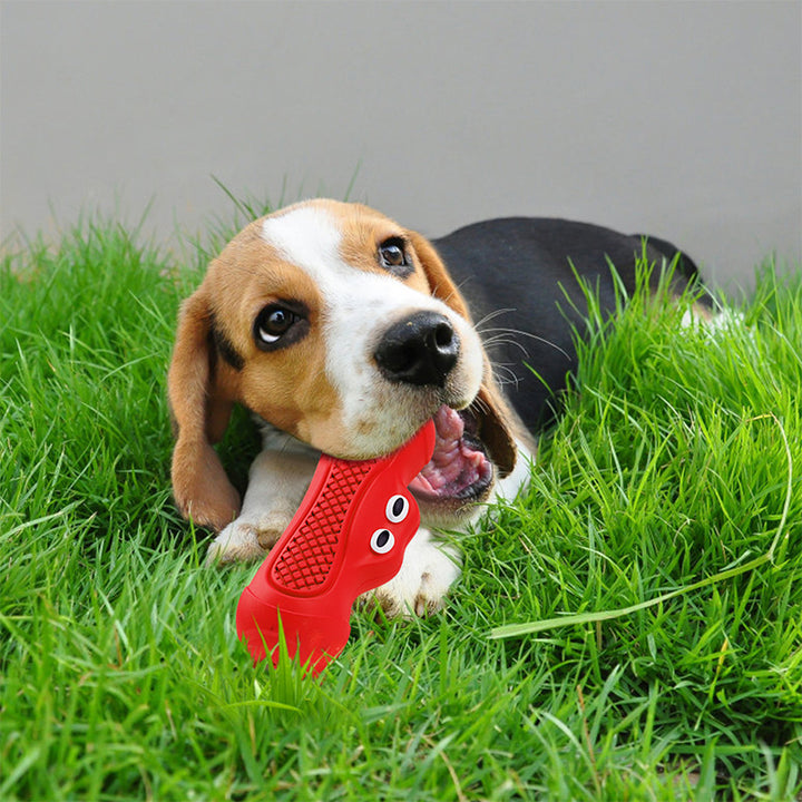 Natural Rubber Pet Chew Toy Durable Teething Biting Toy