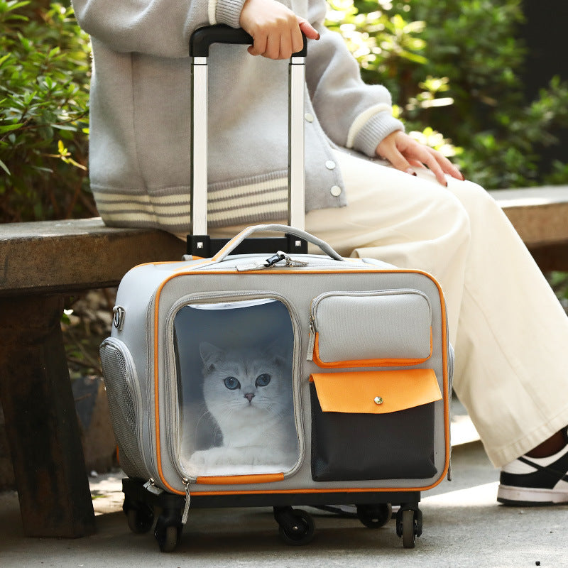 Stylish Anti-Stress Portable Pet Trolley Backpack