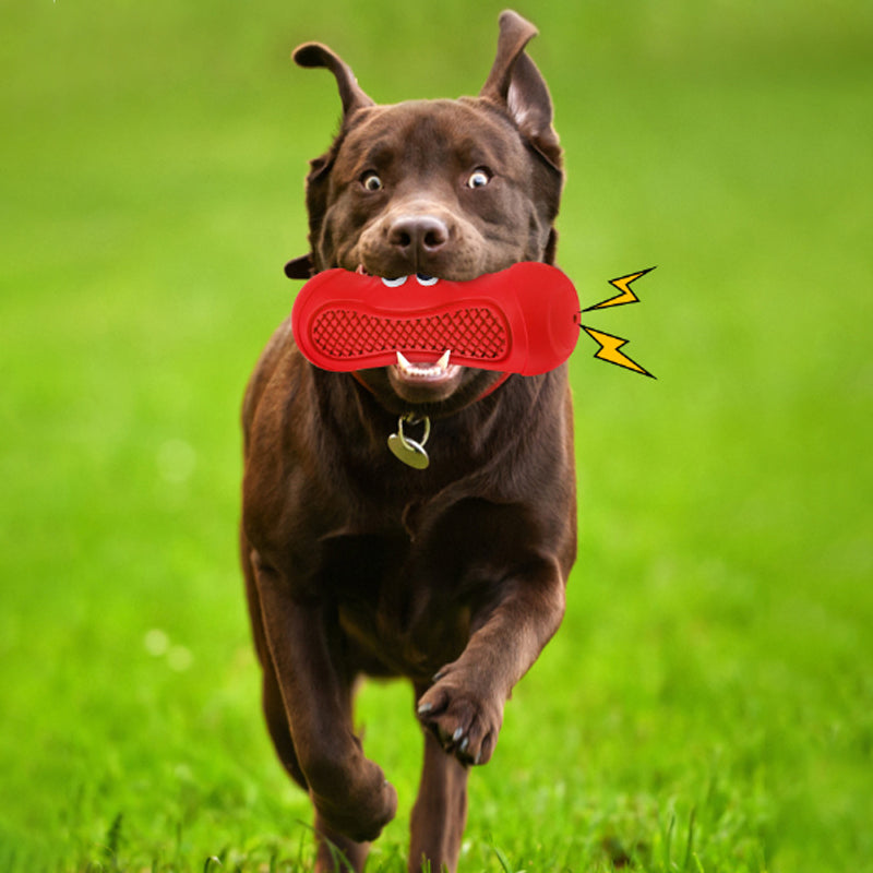 Natural Rubber Pet Chew Toy Durable Teething Biting Toy