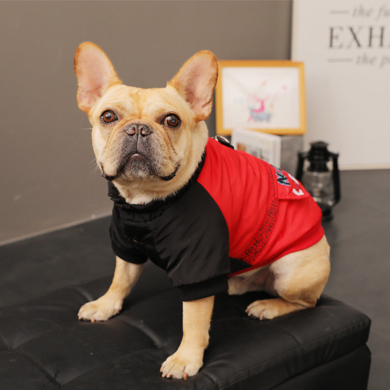 Autumn Winter Clothes For Small Puppies