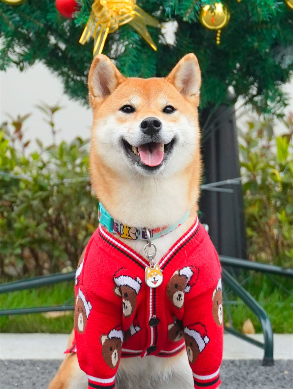 Festive Red New Year Pet Sweater