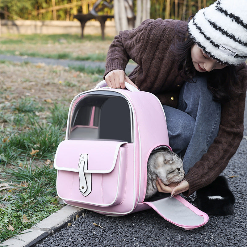 Stylish Portable Pet Backpack For Outings