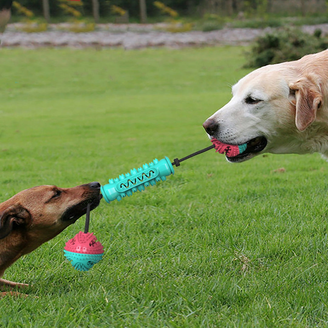 Durable Pet Chew Toy Teeth Cleaning Stick