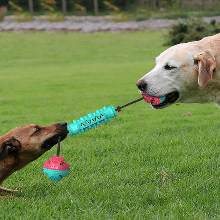 Durable Pet Chew Toy Teeth Cleaning Stick