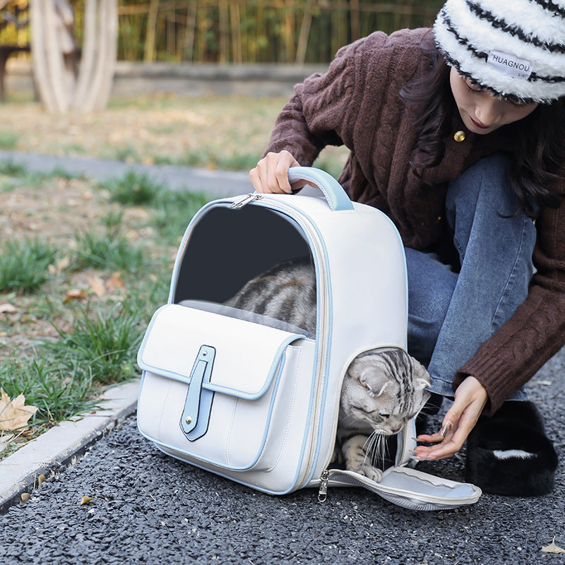 Stylish Portable Pet Backpack For Outings