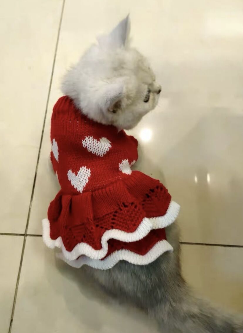 Festive New Year Princess Style Pet Sweater