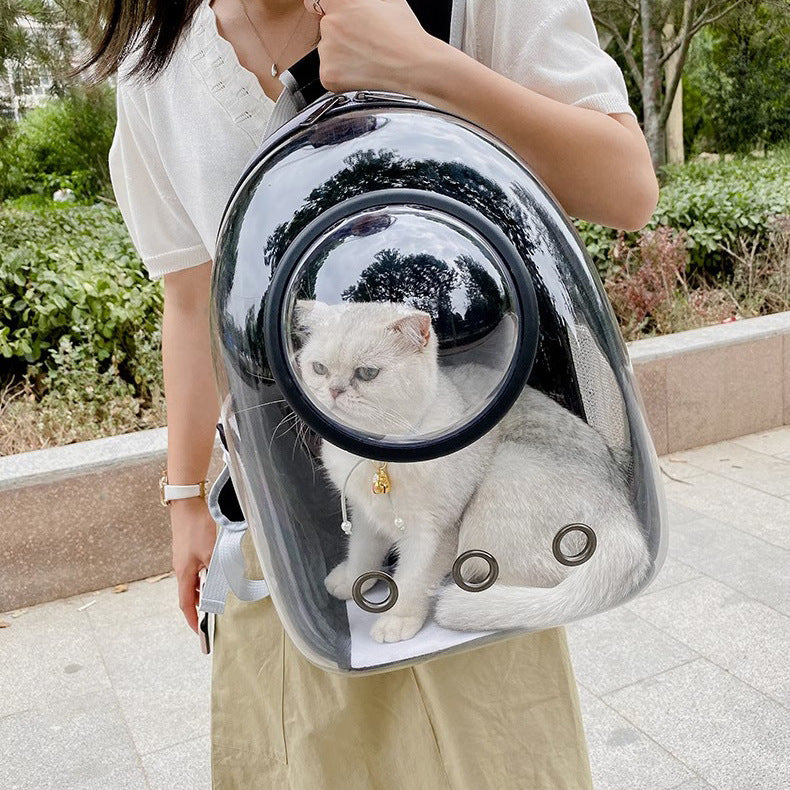 Transparent Skylight Pet Backpack Large Capacity Diaper Bag