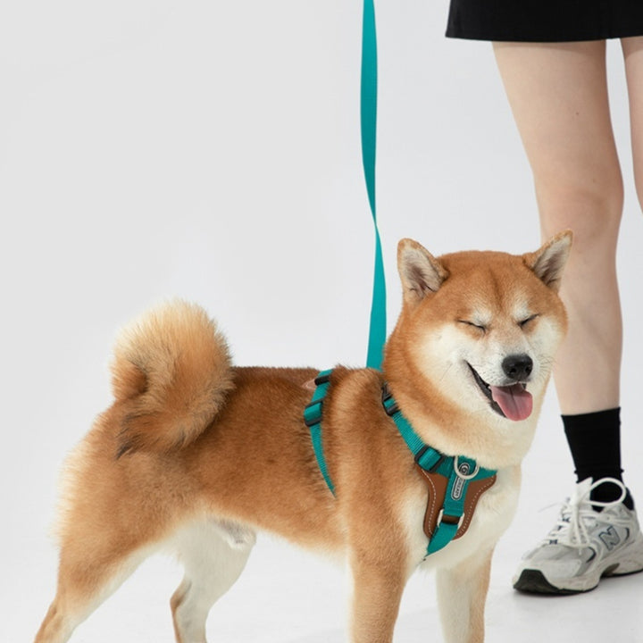 Multifunctional Explosion-Proof Pet Rope Leash With Chest Strap