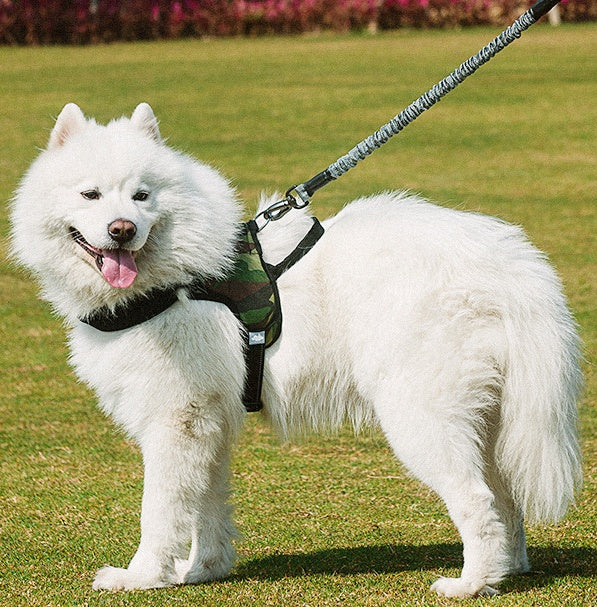 Adjustable Pet Chest Harness Leash