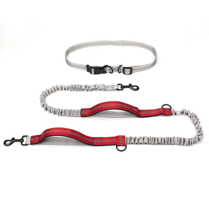 Outdoor Running Pet Leash