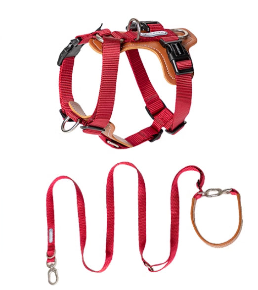 Multifunctional Explosion-Proof Pet Rope Leash With Chest Strap