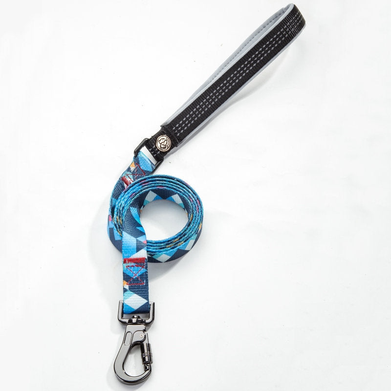 Durable Pet Leash for Walking and Training