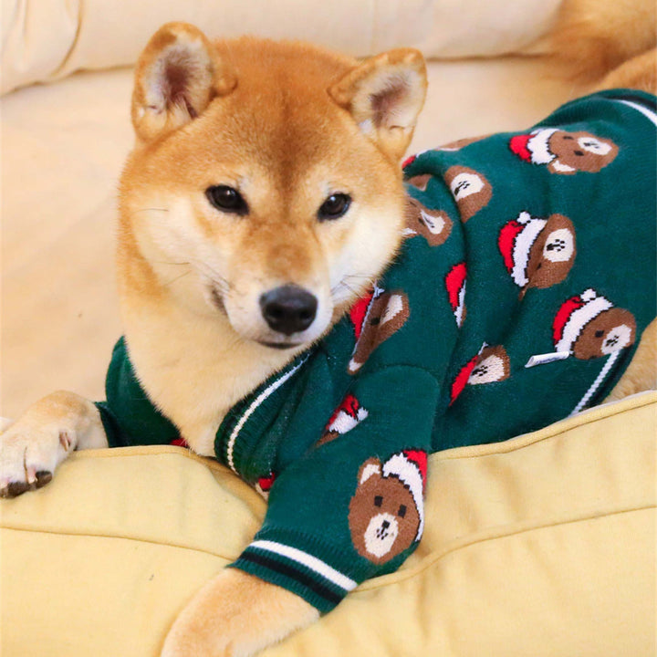 Festive Red New Year Pet Sweater