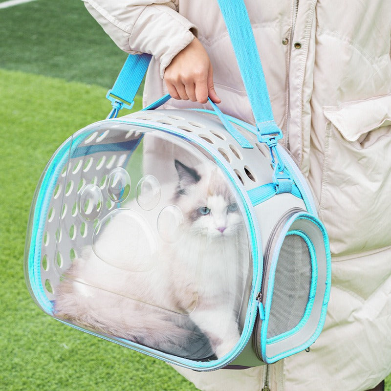 Transparent Space Capsule Backpack For Small Pets