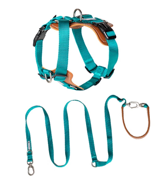 Multifunctional Explosion-Proof Pet Rope Leash With Chest Strap