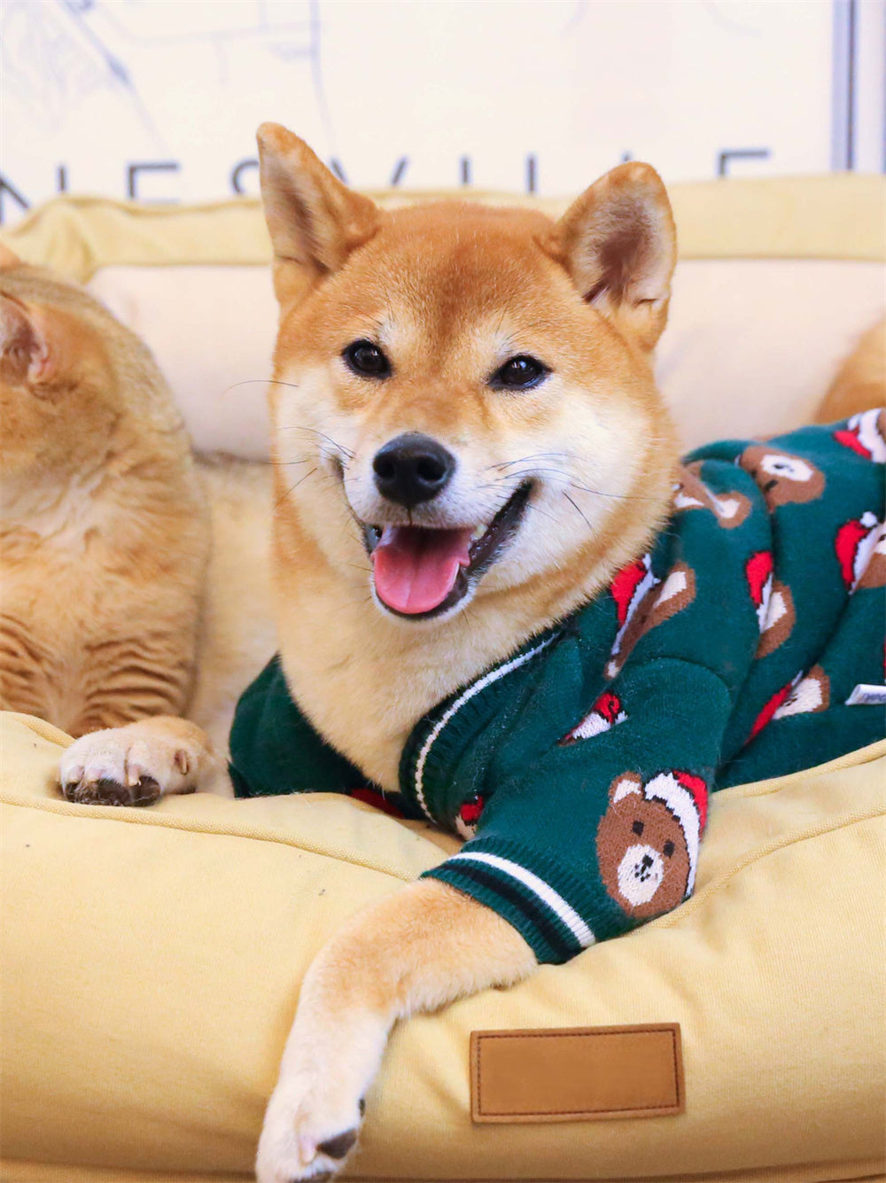 Festive Red New Year Pet Sweater