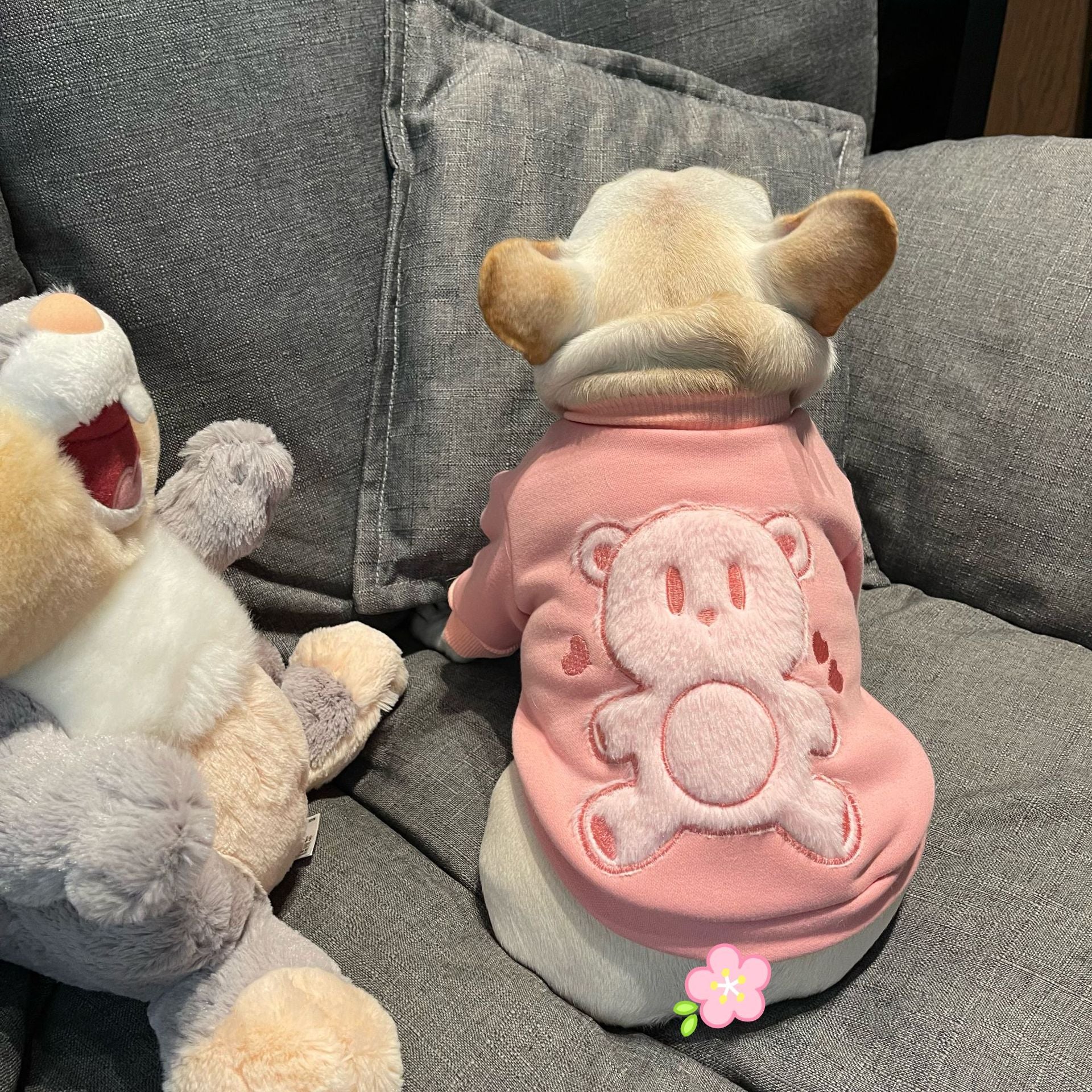Plush Princess Style Pet Sweater