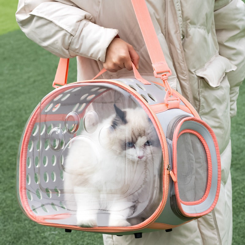 Transparent Space Capsule Backpack For Small Pets