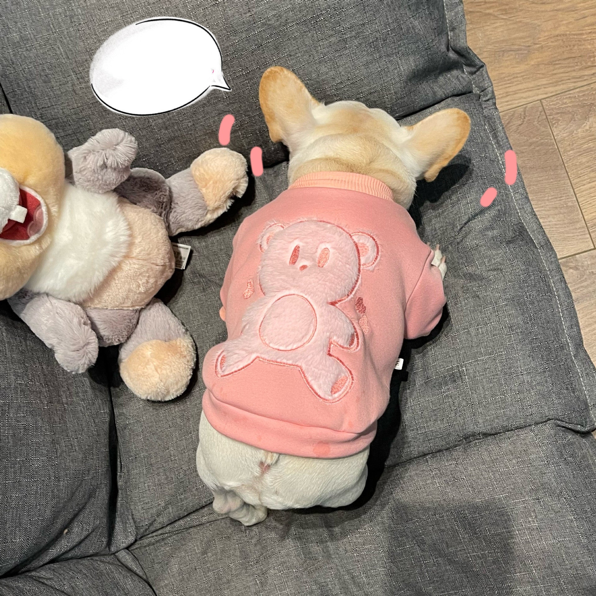 Plush Princess Style Pet Sweater