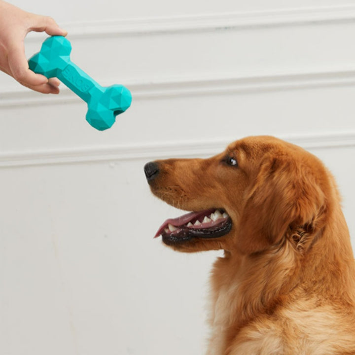 Durable Pet Chew Toy Rubber Bone for Teeth Grinding