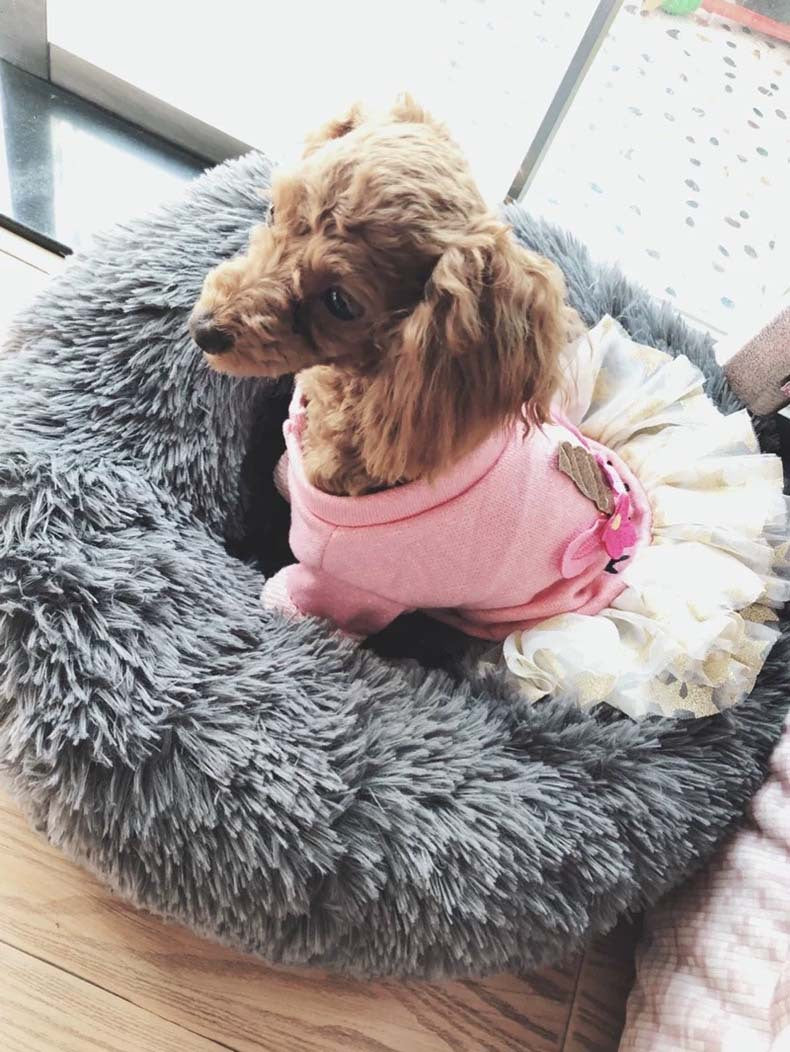 Pet Plush Round Bed Thickened Warm Cozy Sleep Nest for Winter
