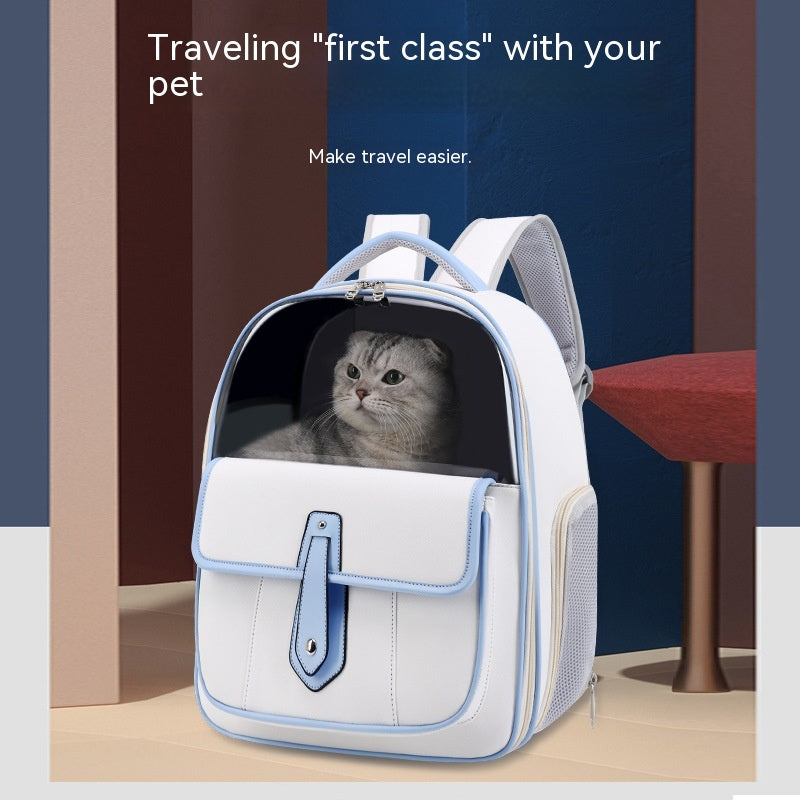 Stylish Portable Pet Backpack For Outings