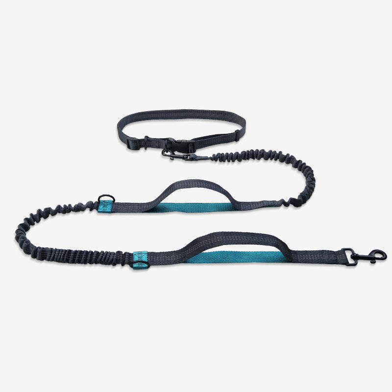 Multifunctional Reflective Double Telescopic Pet Leash Rope