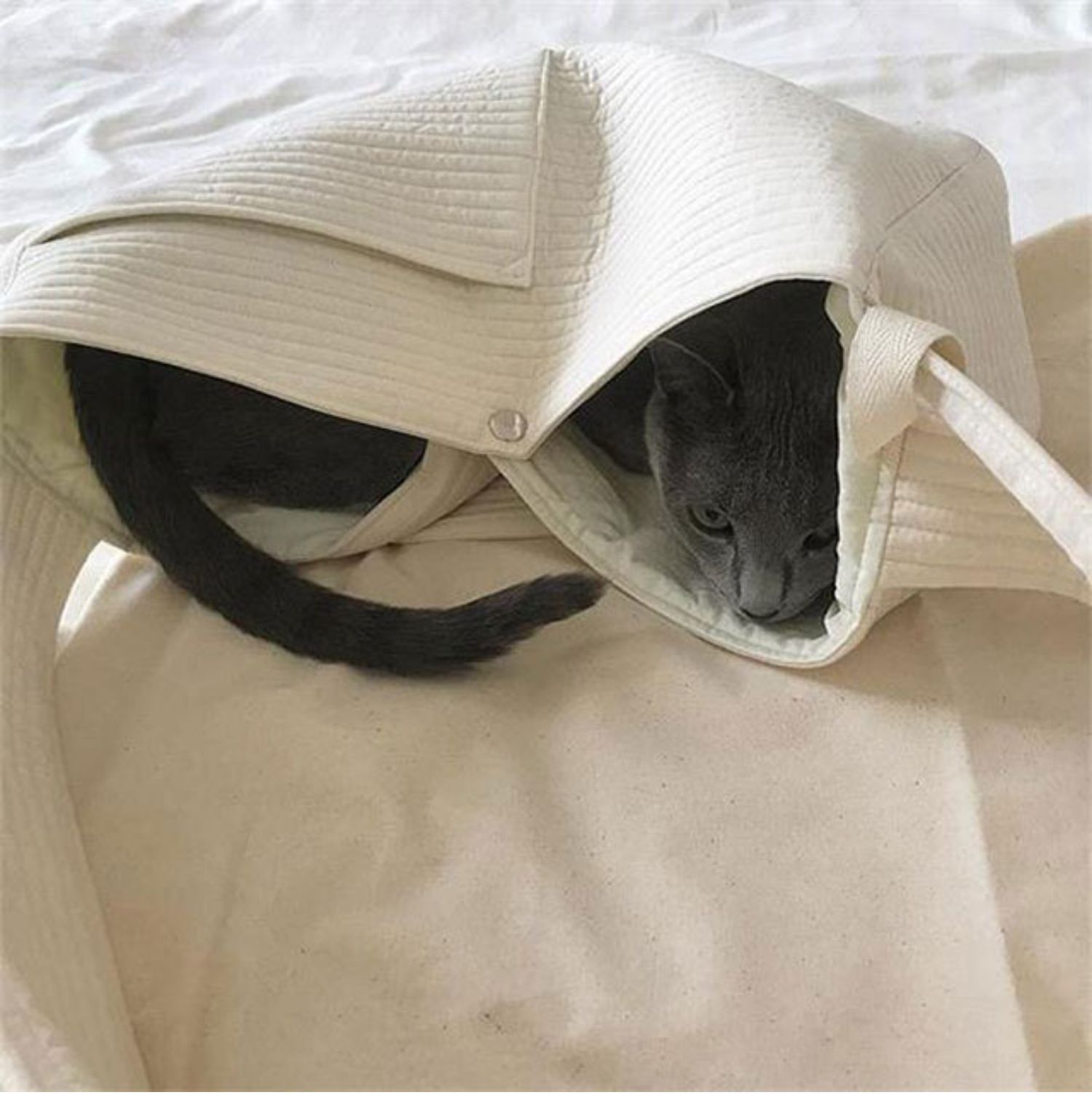 Canvas Portable Pet Backpack One-Shoulder Bag