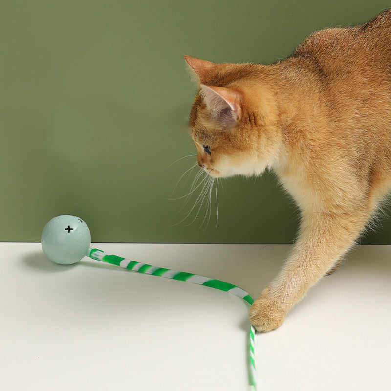 Interactive Electric Pet Ball Toy Motion-Activated Touch Sensor
