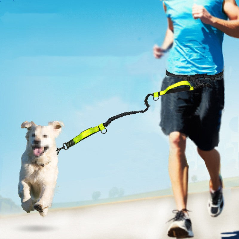 Multifunctional Reflective Double Telescopic Pet Leash Rope