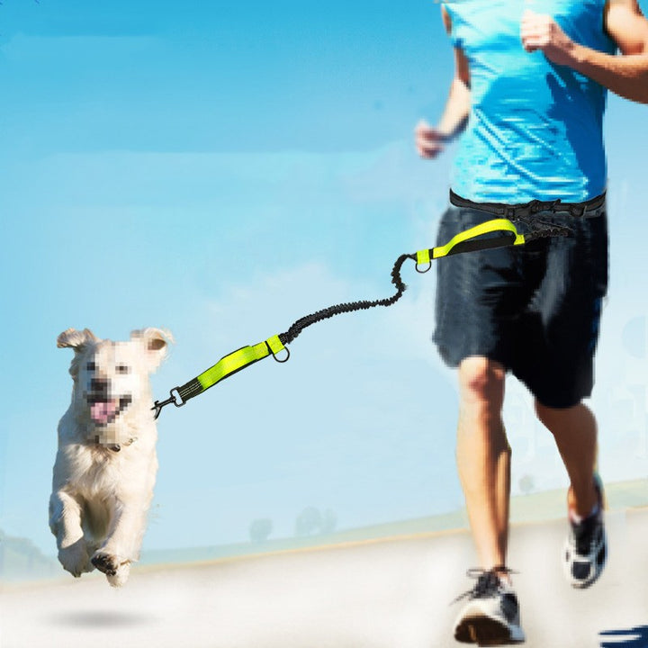 Multifunctional Reflective Double Telescopic Pet Leash Rope