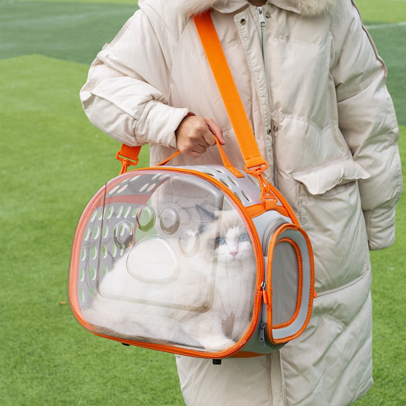 Transparent Space Capsule Backpack For Small Pets