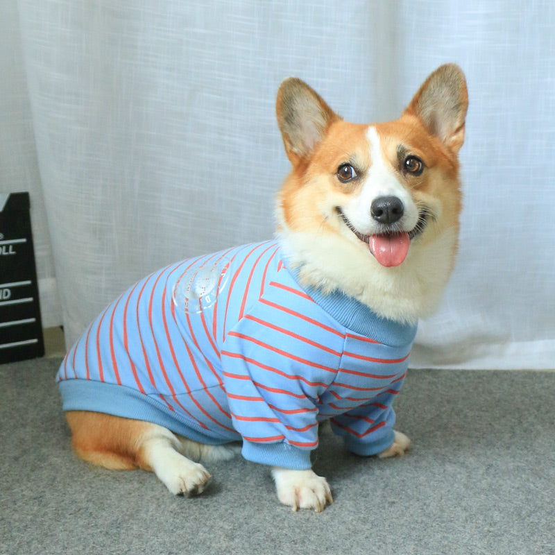 Pet Sweater For Owner And Pet Matching Wear