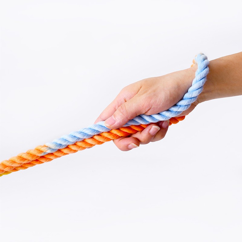 Multi-Functional Dual-Head Pet Leash