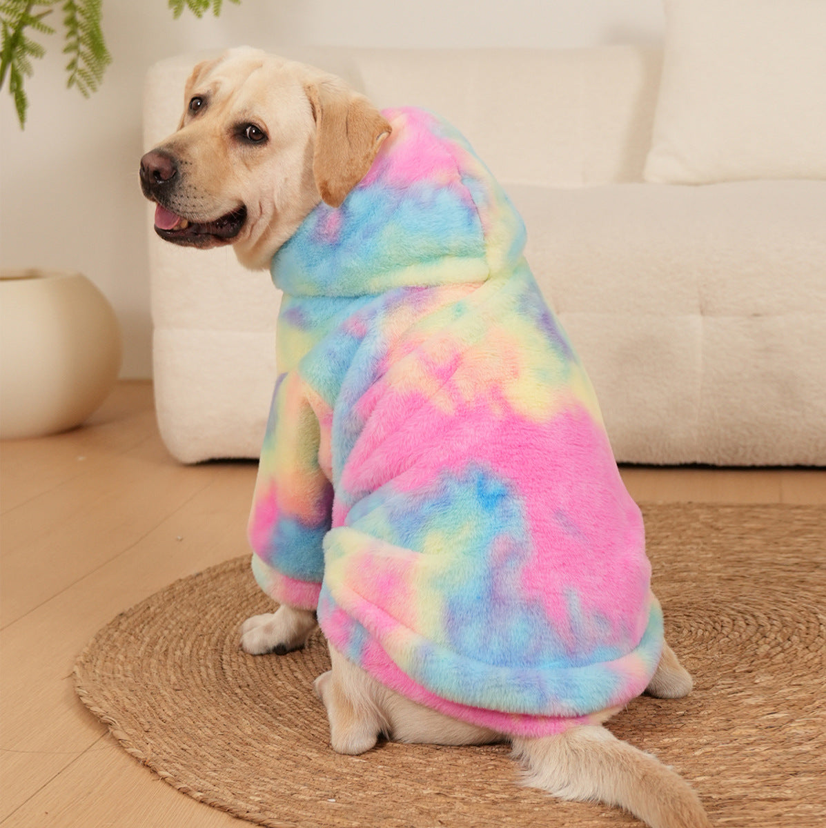 Tie-Dyed Rainbow Color Pet Pattern Sweater