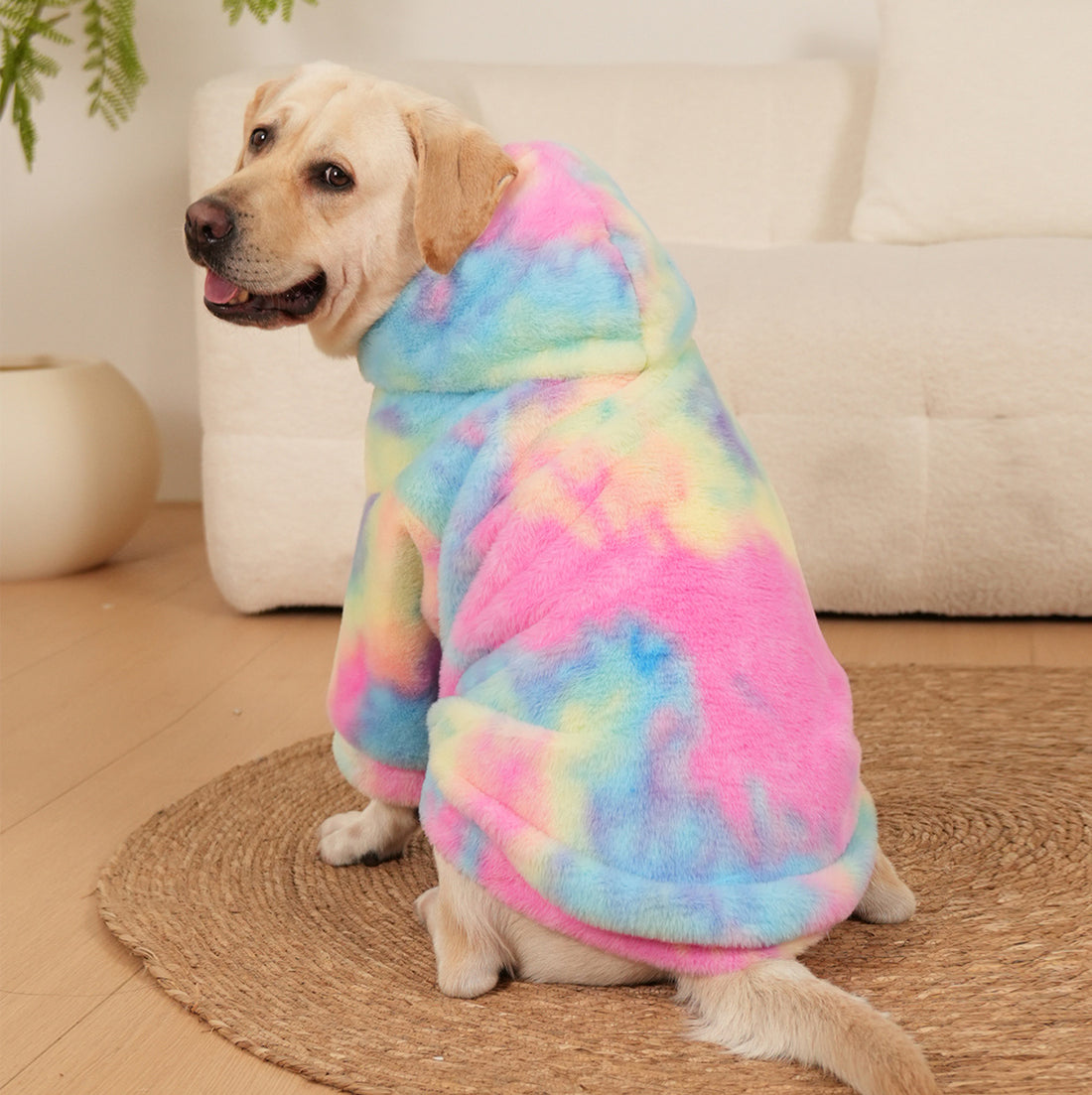 Tie-Dyed Rainbow Color Pet Pattern Sweater
