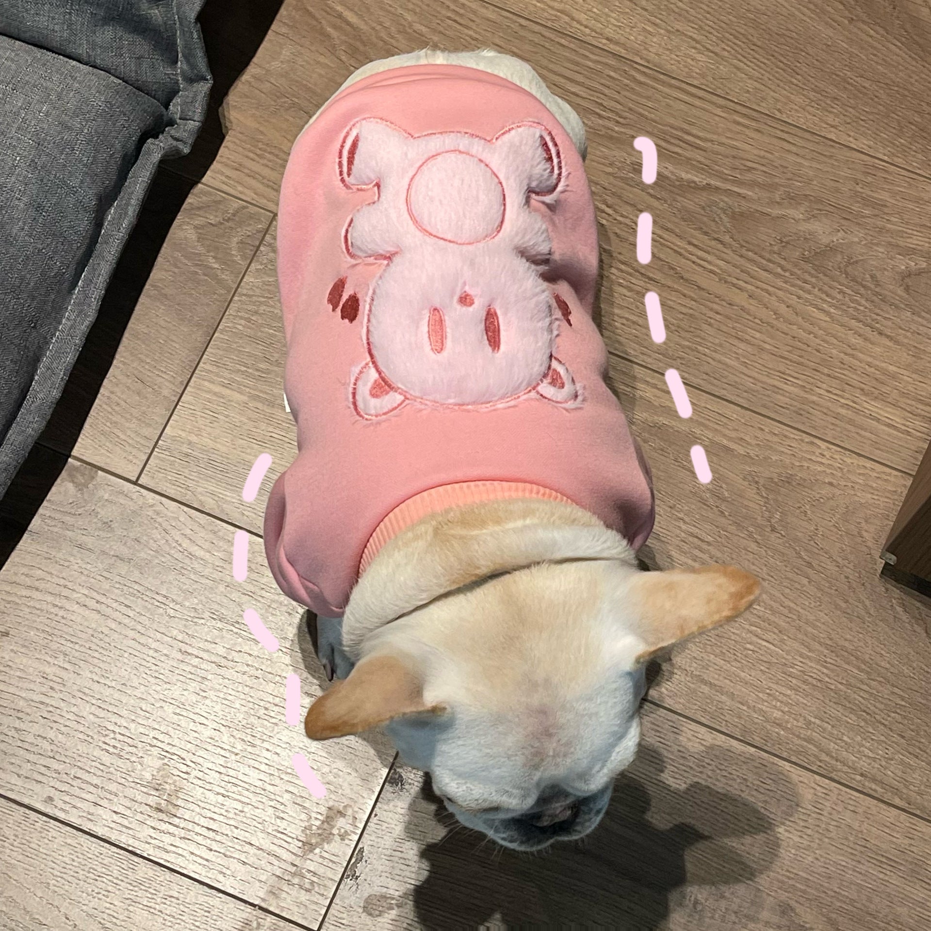 Plush Princess Style Pet Sweater