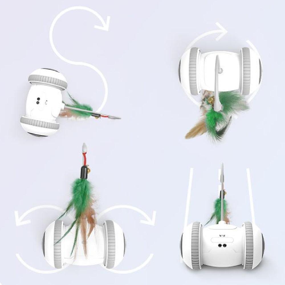 Interactive Pet Toy With Interchangeable Feather Heads