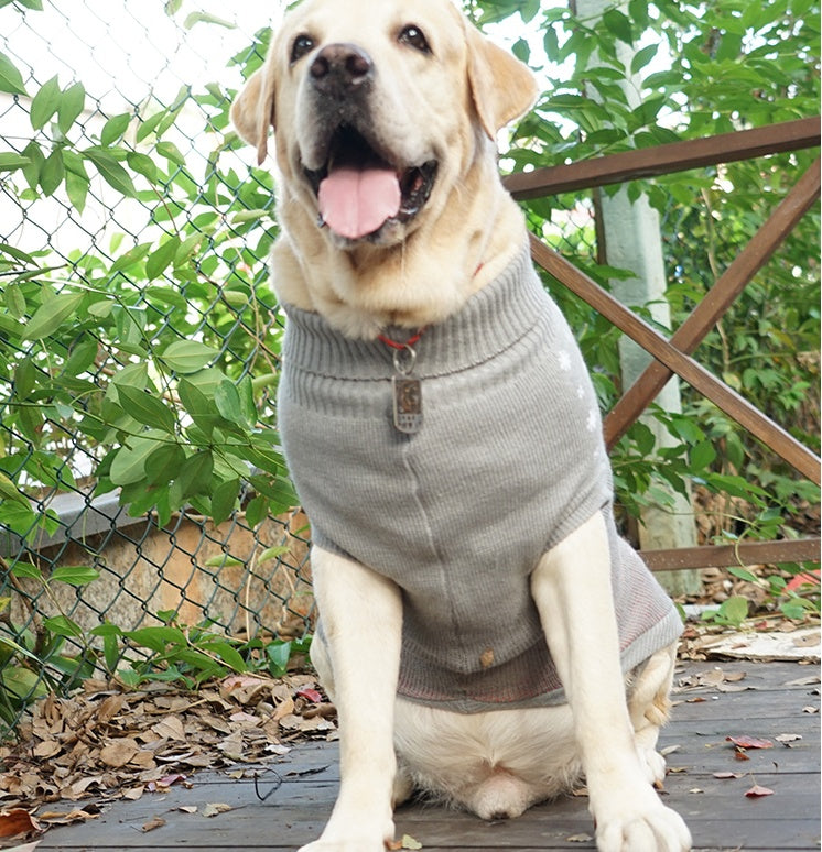 Warm Cotton Pet Sweater For Autumn Winter