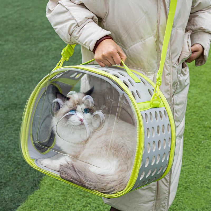 Transparent Space Capsule Backpack For Small Pets