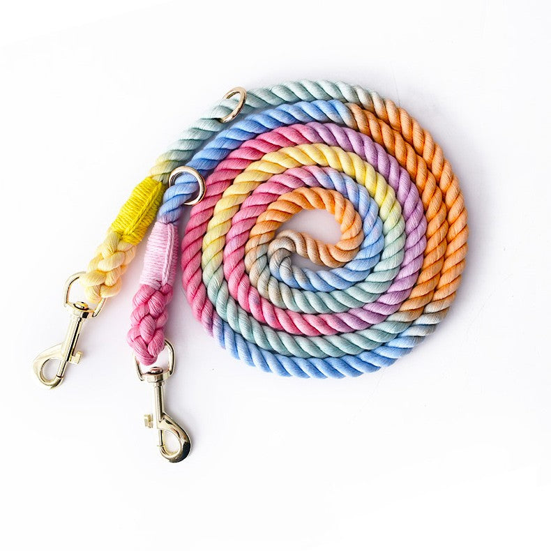 Multi-Functional Dual-Head Pet Leash