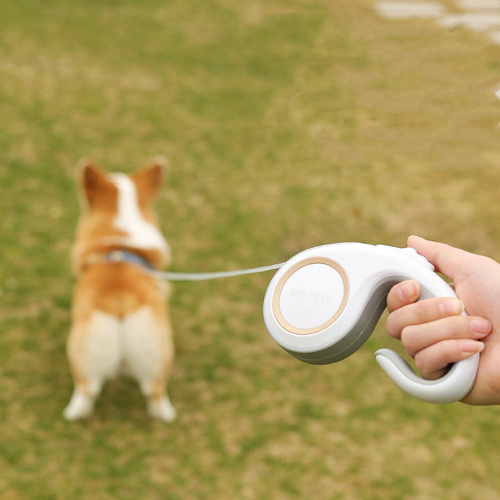 Automatic Retractable Pet Leash
