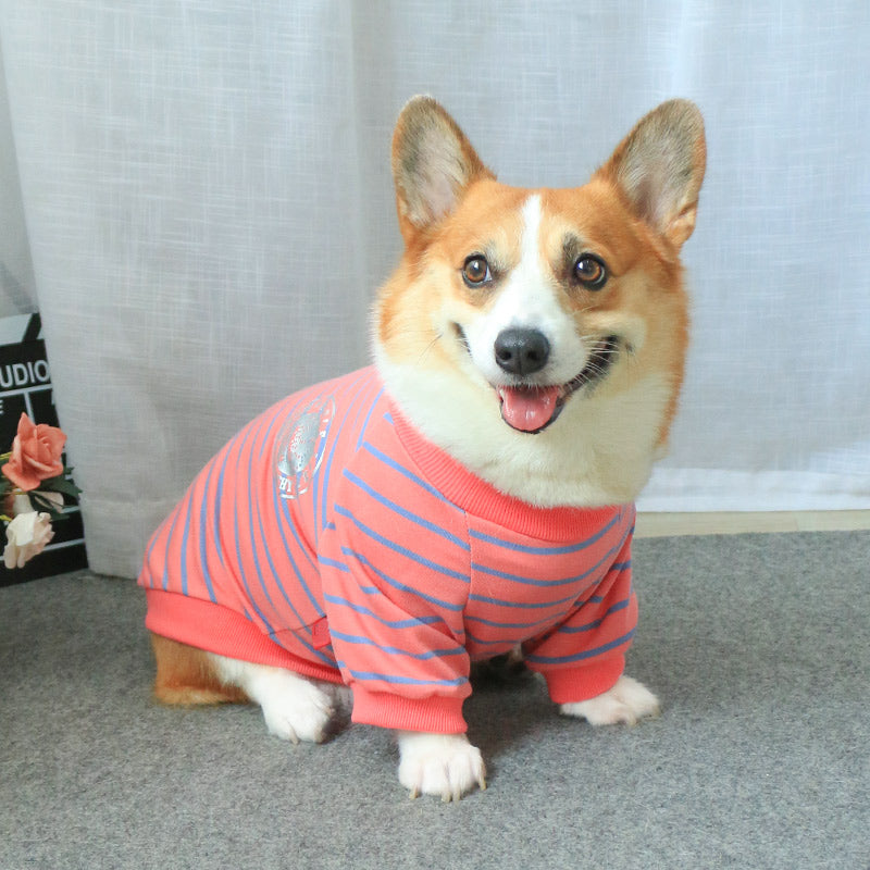 Pet Sweater For Owner And Pet Matching Wear
