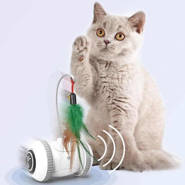Interactive Pet Toy With Interchangeable Feather Heads