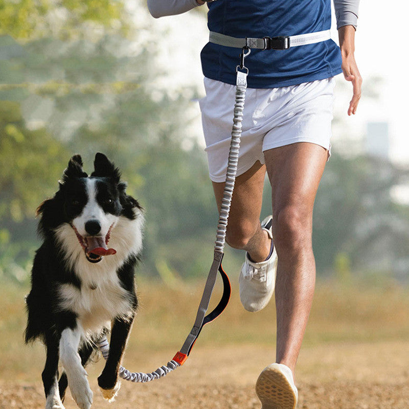 Outdoor Running Pet Leash