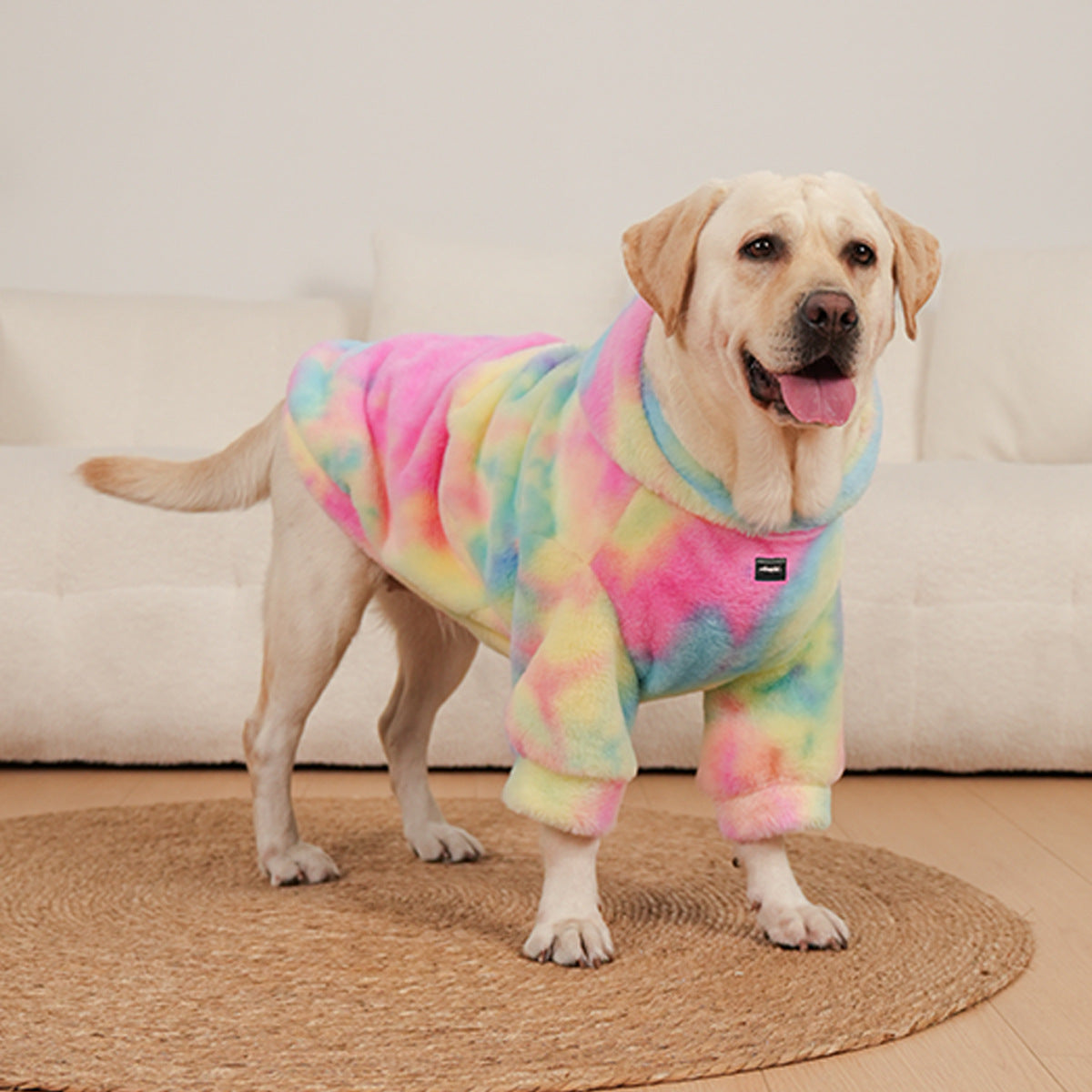 Tie-Dyed Rainbow Color Pet Pattern Sweater