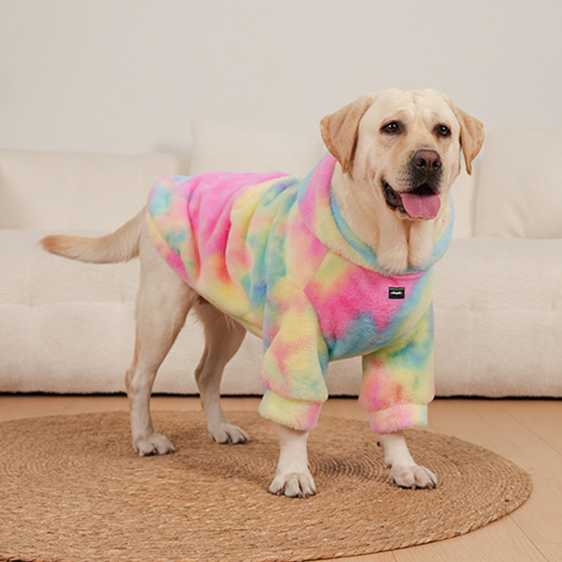 Tie-Dyed Rainbow Color Pet Pattern Sweater